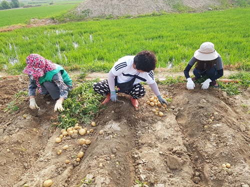 기사이미지